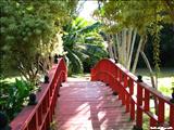 Jardín Botánico - SAN JUAN